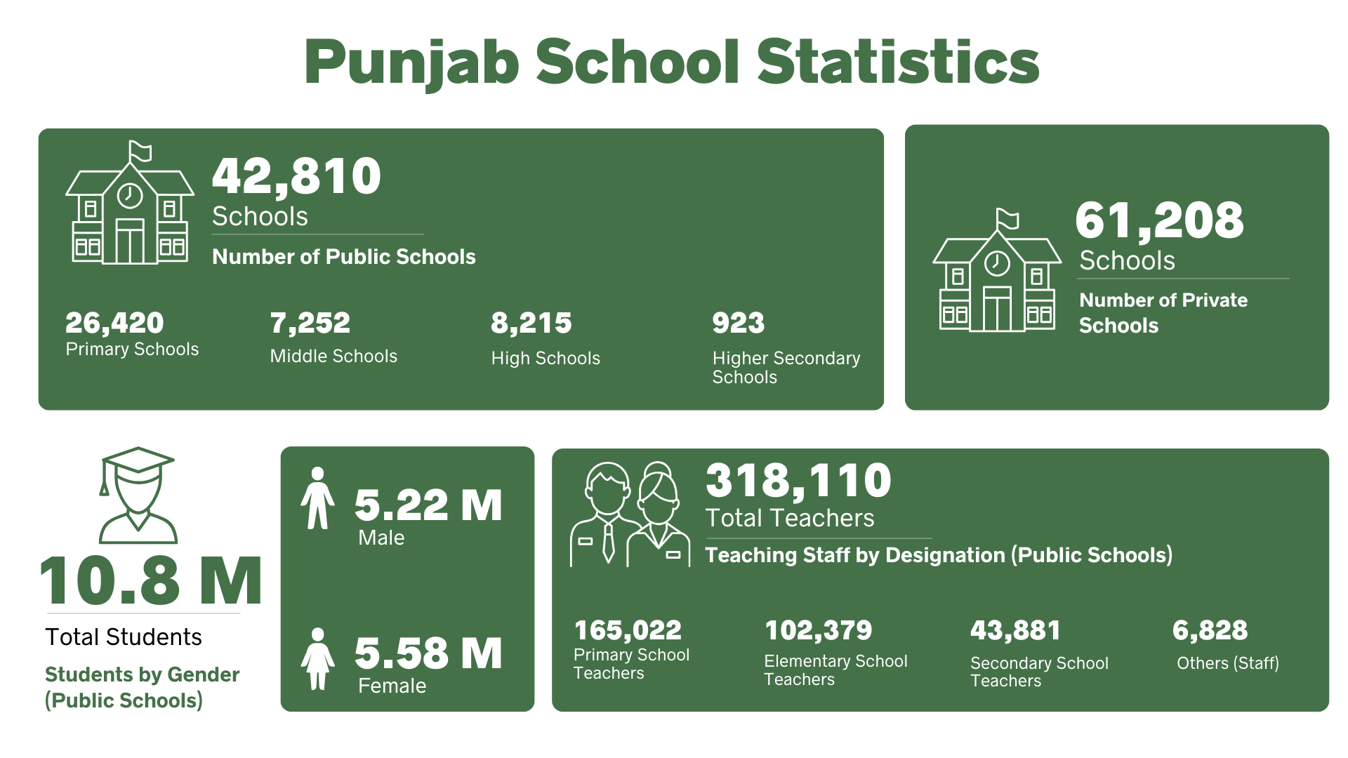 Punjab School Statistics Infographic